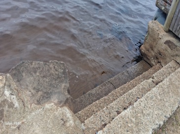 00 Island Rd, Lakeville, Massachusetts, ,Land,For Sale,Island Rd,73457307