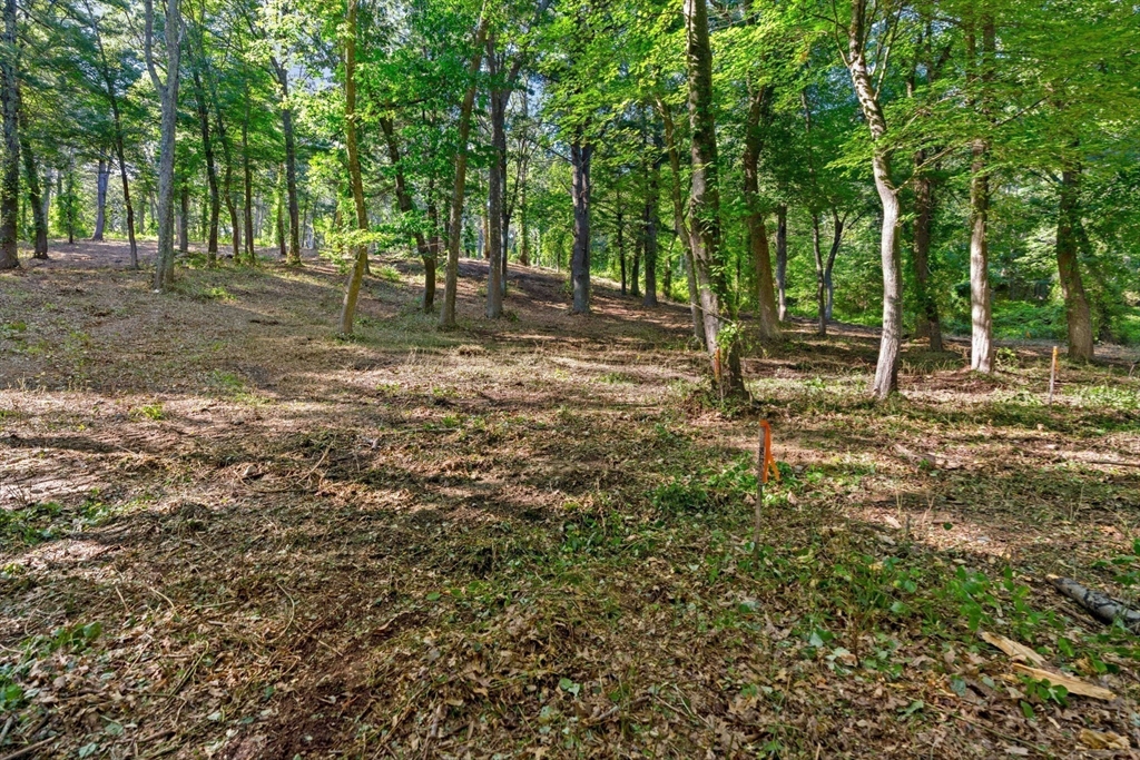 45 Pineswamp Rd, Ipswich, Massachusetts, ,Land,For Sale,Pineswamp Rd,73350054