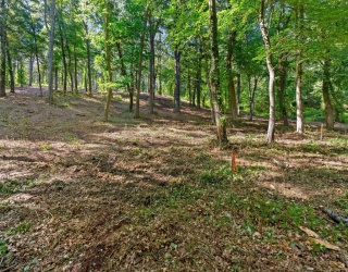 45 Pineswamp Rd, Ipswich, Massachusetts, ,Land,For Sale,Pineswamp Rd,73350054