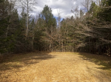 0 Pickerel Close Rd, Becket, Massachusetts, ,Land,For Sale,Pickerel Close Rd,73309254