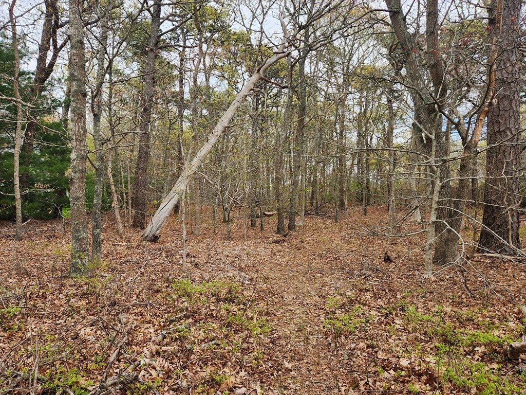 0 Commons Way, Brewster, Massachusetts, ,Land,For Sale,Commons Way,73372154