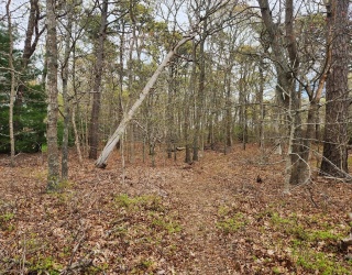 0 Commons Way, Brewster, Massachusetts, ,Land,For Sale,Commons Way,73372154