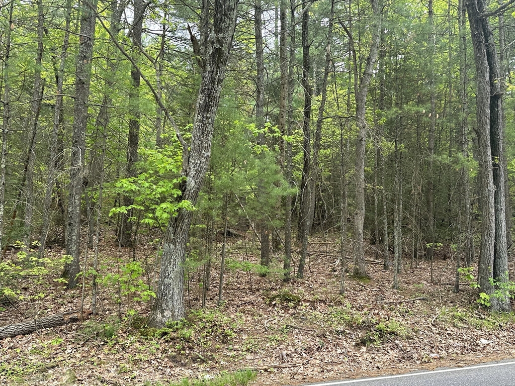 155 Stimson St, Palmer, Massachusetts, ,Land,For Sale,Stimson St,73375460