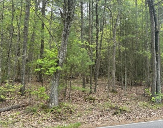 155 Stimson St, Palmer, Massachusetts, ,Land,For Sale,Stimson St,73375460