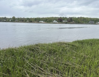 LOT_10 Ferry Lane, Berkley, Massachusetts, ,Land,For Sale,Ferry Lane,73396506