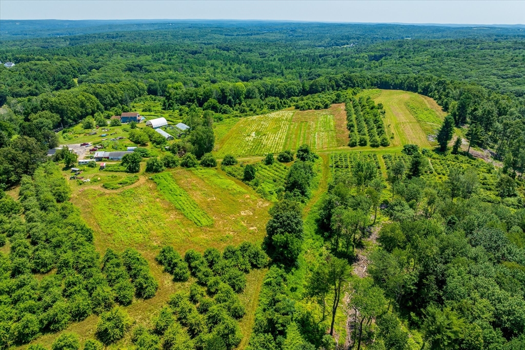 13 L Turner Road, Charlton, Massachusetts, ,Land,For Sale,L Turner Road,73323556