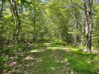 13 Perry St, Douglas, Massachusetts, ,Land,For Sale,Perry St,73459734