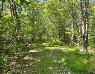 13 Perry St, Douglas, Massachusetts, ,Land,For Sale,Perry St,73459734