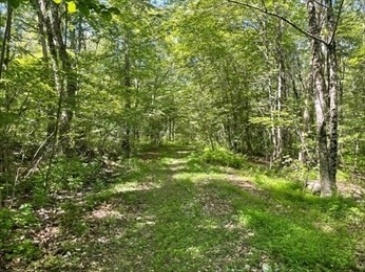 13 Perry St, Douglas, Massachusetts, ,Land,For Sale,Perry St,73459734