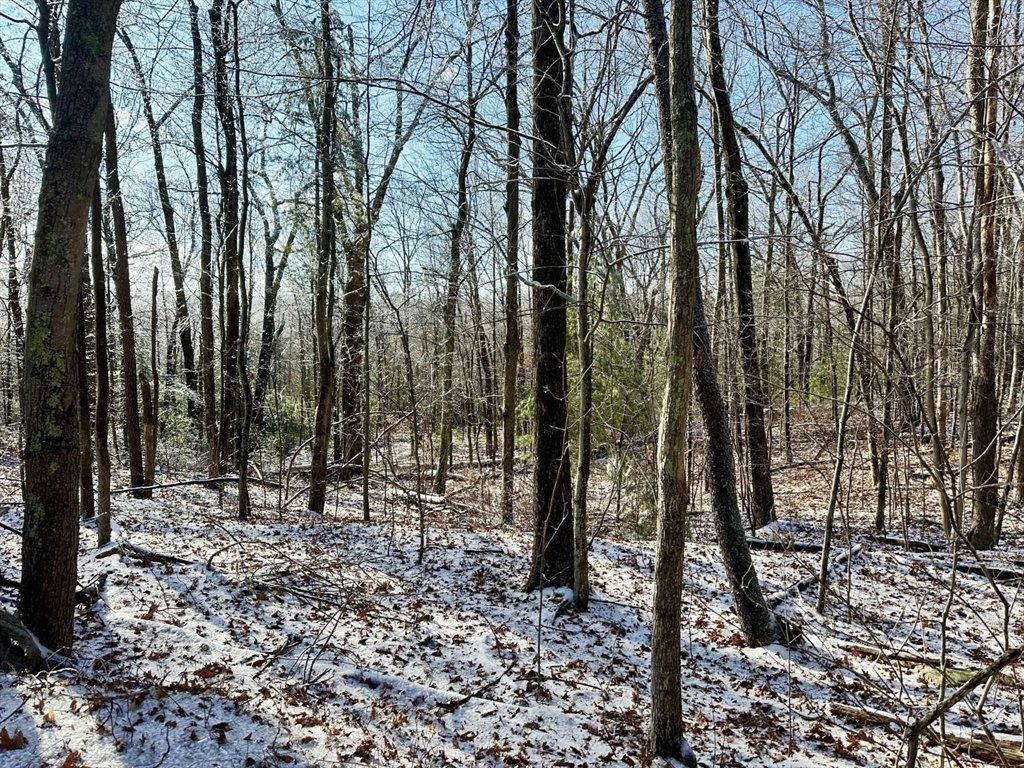 99 Burbank Road Lot 182, Sutton, Massachusetts, ,Land,For Sale,Burbank Road Lot 182,73460005