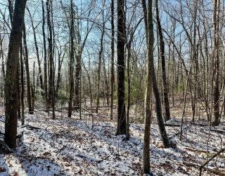 99 Burbank Road Lot 182, Sutton, Massachusetts, ,Land,For Sale,Burbank Road Lot 182,73460005