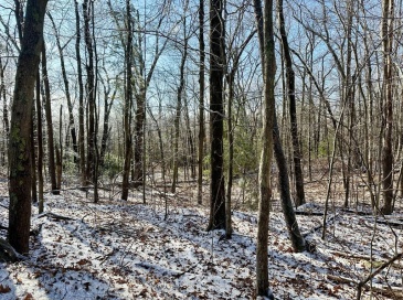 99 Burbank Road Lot 182, Sutton, Massachusetts, ,Land,For Sale,Burbank Road Lot 182,73460005 99 Burbank Road Lot 182, Sutton, Massachusetts, ,Land,For Sale,Burbank Road Lot 182,73460005