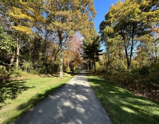 326 Green St, Northborough, Massachusetts, ,Land,For Sale,Green St,73443789