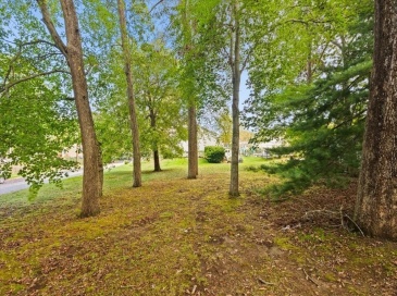 0 Rich St, Fall River, Massachusetts, ,Land,For Sale,Rich St,73436344 0 Rich St, Fall River, Massachusetts, ,Land,For Sale,Rich St,73436344