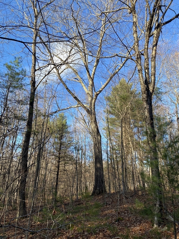 Lot B Brimfield Rd, Monson, Massachusetts, ,Land,For Sale,Brimfield Rd,73455223