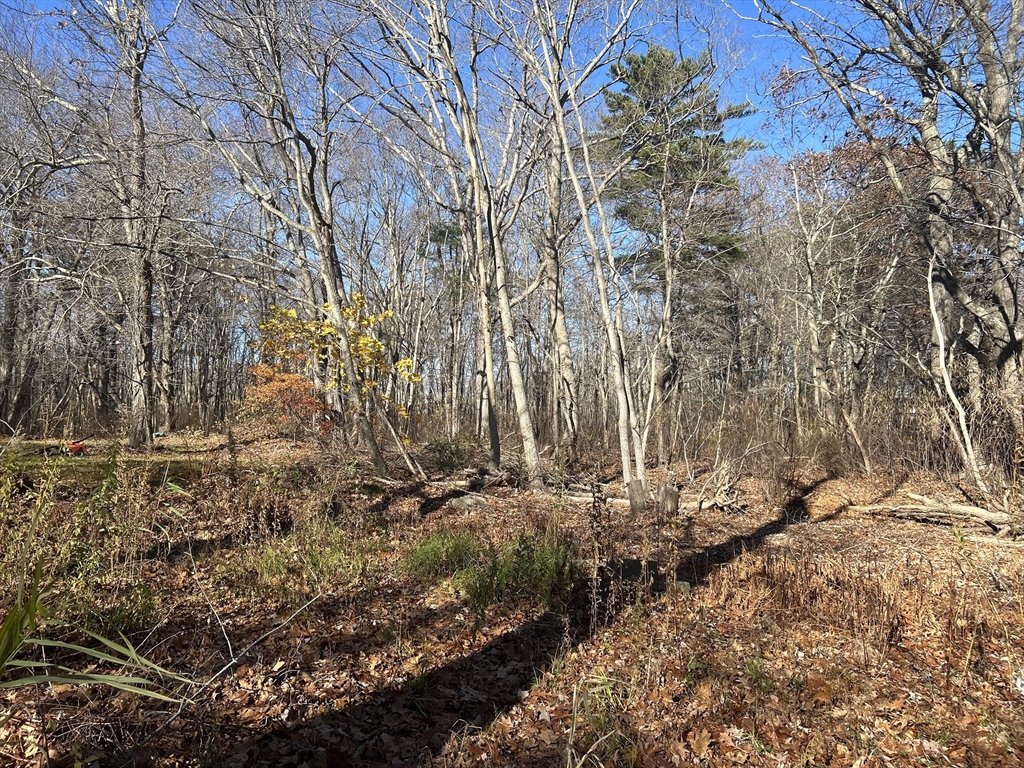 127 Beach Rd, Salisbury, Massachusetts, ,Land,For Sale,Beach Rd,73460584