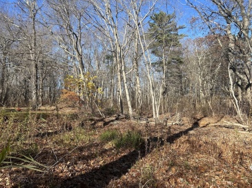 127 Beach Rd, Salisbury, Massachusetts, ,Land,For Sale,Beach Rd,73460584 127 Beach Rd, Salisbury, Massachusetts, ,Land,For Sale,Beach Rd,73460584