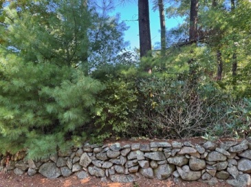 0 Long Plain Road, Mattapoisett, Massachusetts, ,Land,For Sale,Long Plain Road,73438847 0 Long Plain Road, Mattapoisett, Massachusetts, ,Land,For Sale,Long Plain Road,73438847