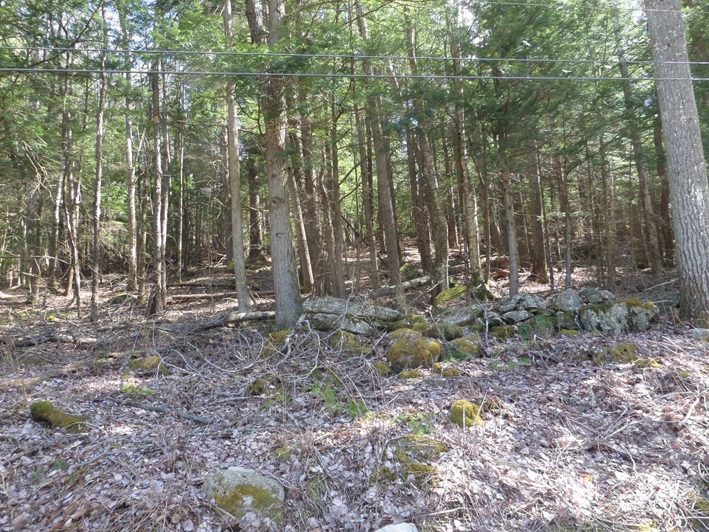 LOT 1 Thayer Hill Road, Worthington, Massachusetts, ,Land,For Sale,Thayer Hill Road,73461484