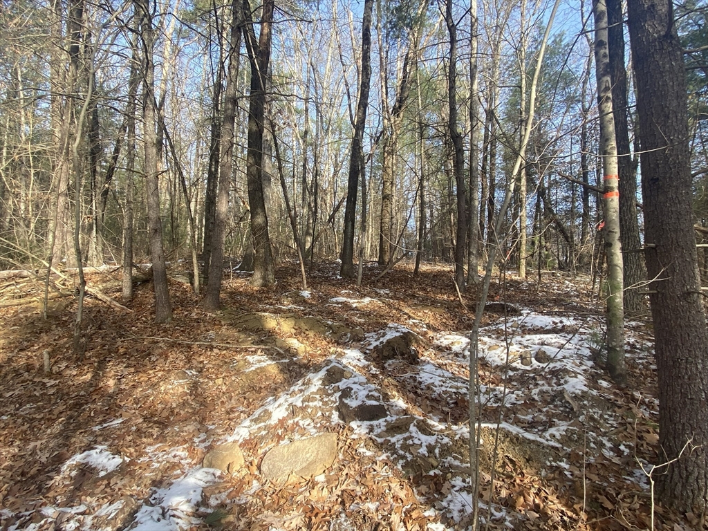 121 & lt12 Sturbridge Rd, Brimfield, Massachusetts, ,Land,For Sale,Sturbridge Rd,73461641