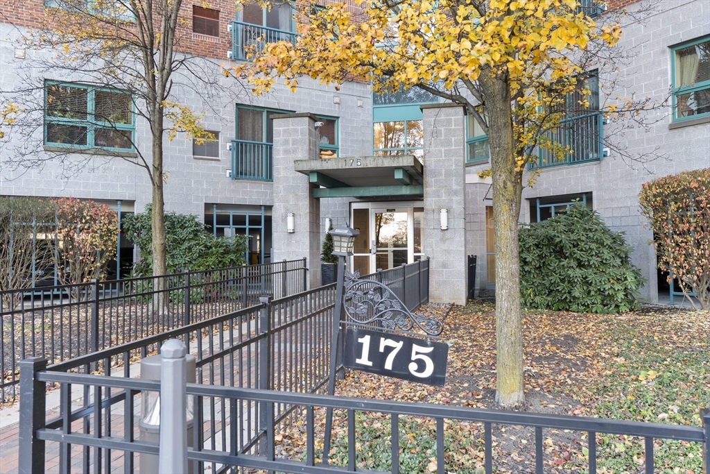 175 Cottage, Chelsea, Massachusetts, 1 Bedroom Bedrooms, 3 Rooms Rooms,1 BathroomBathrooms,Residential Lease,For Rent,Cottage,73441240