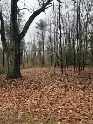 0 Wendell Depot Rd, Wendell, Massachusetts, ,Land,For Sale,Wendell Depot Rd,73461894