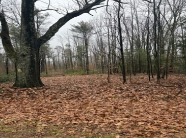 0 Wendell Depot Rd, Wendell, Massachusetts, ,Land,For Sale,Wendell Depot Rd,73461894