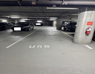 1313 Washington St Ps U55, Boston, Massachusetts, ,Land,For Sale,Washington St Ps U55,73461933