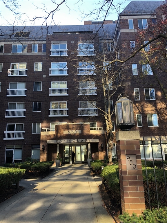 950 Massachusetts Ave., Cambridge, Massachusetts, 2 Rooms Rooms,1 BathroomBathrooms,Residential Lease,For Rent,Massachusetts Ave.,73430448