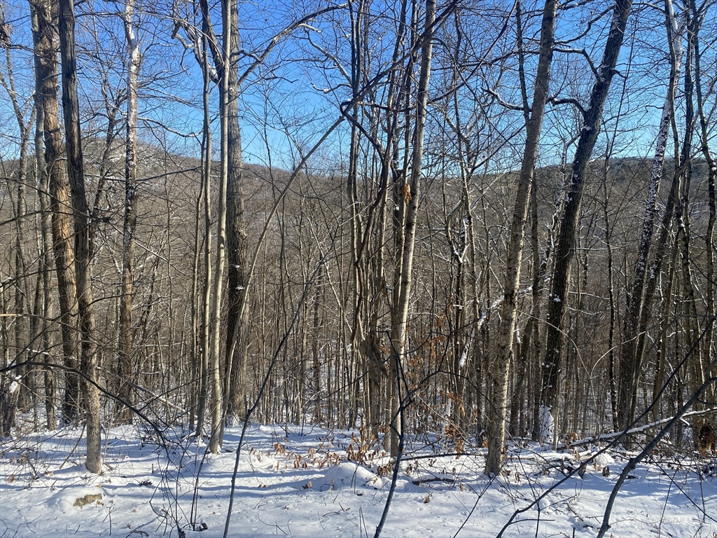 593 Old Warren Road, Palmer, Massachusetts, ,Land,For Sale,Old Warren Road,73462618