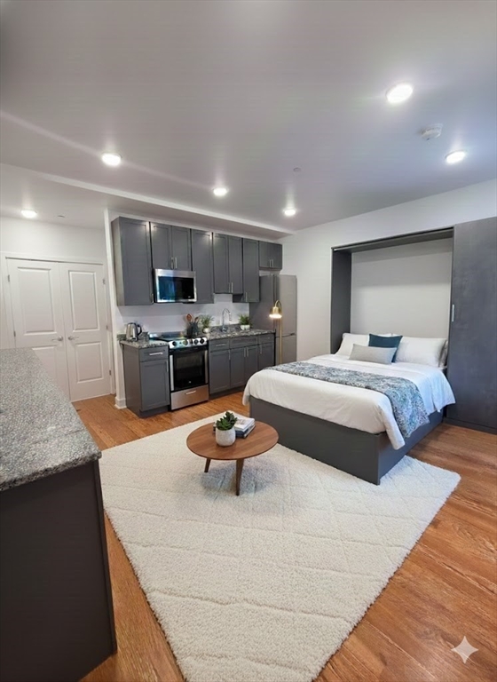 165 Hawthorne, Chelsea, Massachusetts, 1 Room Rooms,1 BathroomBathrooms,Residential Lease,For Rent,Hawthorne,73462795