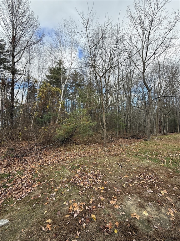 Lot 1 Edward St, Athol, Massachusetts, ,Land,For Sale,Edward St,73454993