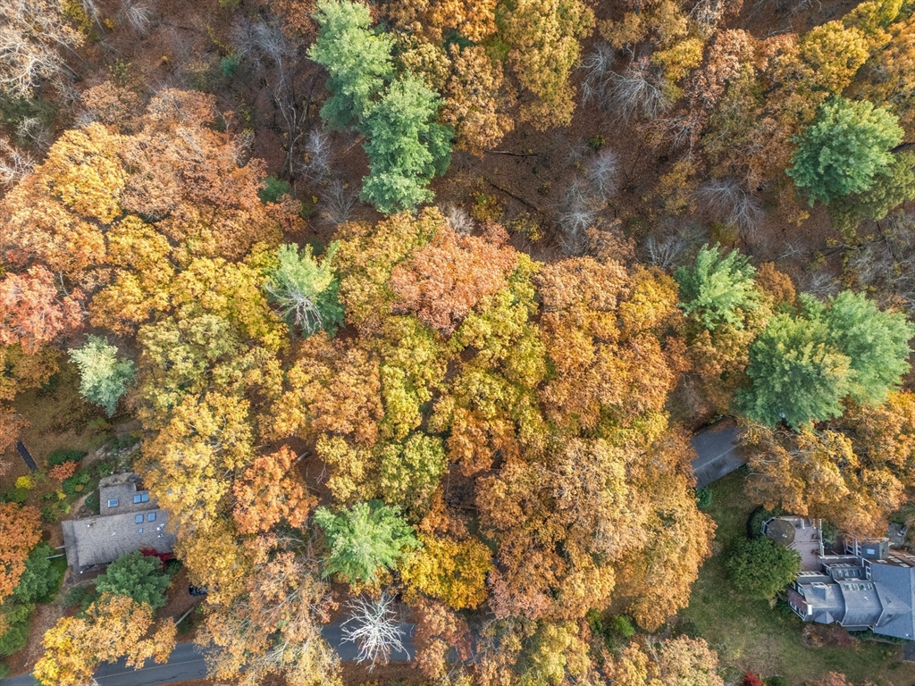 89 Lexington Road, Lincoln, Massachusetts, ,Land,For Sale,Lexington Road,73463103