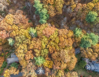 89 Lexington Road, Lincoln, Massachusetts, ,Land,For Sale,Lexington Road,73463103