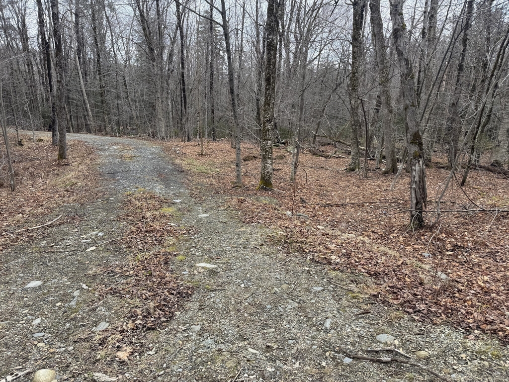 237 Trouble St, Cummington, Massachusetts, ,Land,For Sale,Trouble St,73353285