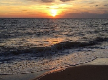 160 Toland Drive, Eastham, Massachusetts, 3 Bedrooms Bedrooms, 7 Rooms Rooms,2 BathroomsBathrooms,Residential,For Sale,Toland Drive,73395241