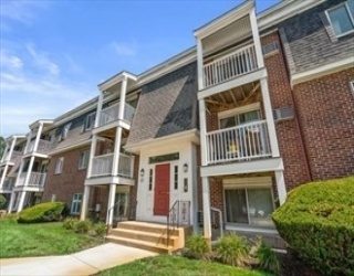 47 Will Dr, Canton, Massachusetts, 1 Bedroom Bedrooms, 4 Rooms Rooms,1 BathroomBathrooms,Residential Lease,For Rent,Will Dr,73463845