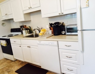 46 Rustic Street, Newton, Massachusetts, 2 Bedrooms Bedrooms, 4 Rooms Rooms,1 BathroomBathrooms,Residential Lease,For Rent,Rustic Street,73464484