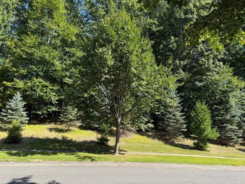 25 Pembroke Ter, East Longmeadow, Massachusetts, ,Land,For Sale,Pembroke Ter,73464705