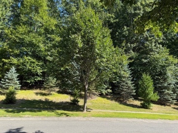 25 Pembroke Ter, East Longmeadow, Massachusetts, ,Land,For Sale,Pembroke Ter,73464705 25 Pembroke Ter, East Longmeadow, Massachusetts, ,Land,For Sale,Pembroke Ter,73464705