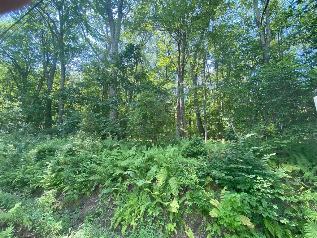 Lot 2R &3 Chapin Rd, Hampden, Massachusetts, ,Land,For Sale,Chapin Rd,73340513