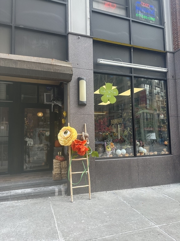 40 Harrison Avenue, Boston, Massachusetts, ,Business Opportunity,For Sale,Harrison Avenue,73465246