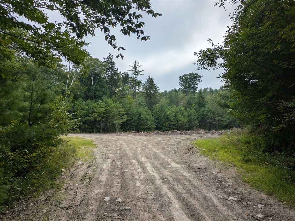 Lot Eaton Grange Rd, Sutton, New Hampshire, ,Land,For Sale,Eaton Grange Rd,73433815
