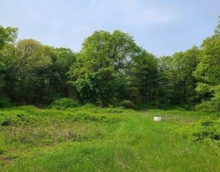 301 Tinkham, Springfield, Massachusetts, ,Land,For Sale,Tinkham,73465472