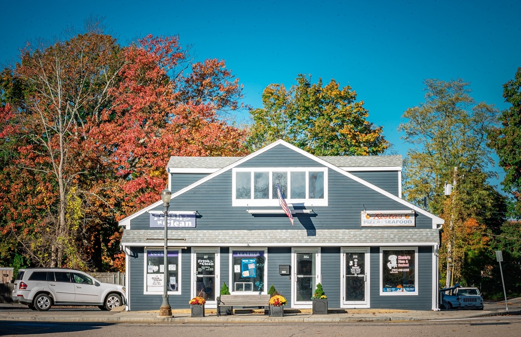 315-317 Chestnut St, Needham, Massachusetts, ,Commercial Sale,For Sale,Chestnut St,73371135