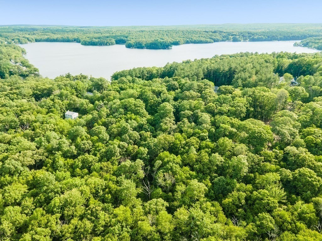 19 Birch St, Douglas, Massachusetts, ,Land,For Sale,Birch St,73466148