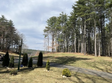 Lot 2, January Hills Road, Shutesbury, Massachusetts, ,Land,For Sale,January Hills Road,73466868 Lot 2, January Hills Road, Shutesbury, Massachusetts, ,Land,For Sale,January Hills Road,73466868
