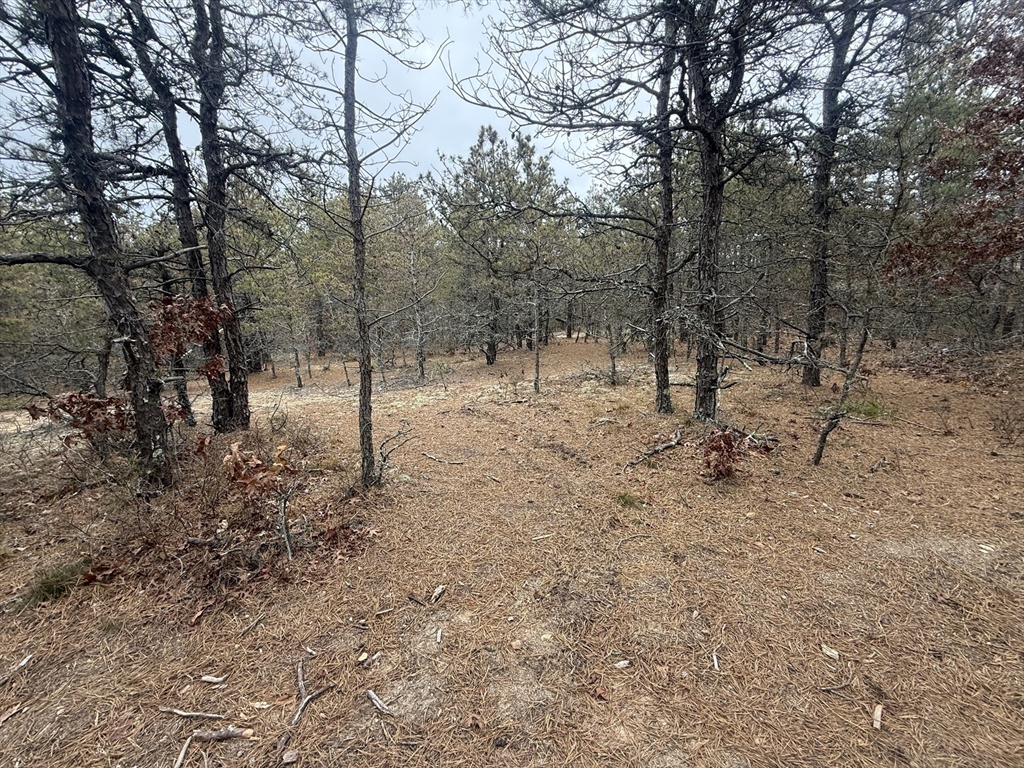 0 Ash Court, Dennis, Massachusetts, ,Land,For Sale,Ash Court,73460477