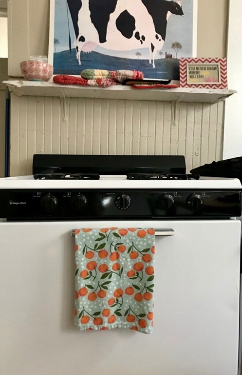 357 Windsor Street, Cambridge, Massachusetts, 1 Bedroom Bedrooms, 5 Rooms Rooms,1 BathroomBathrooms,Residential Lease,For Rent,Windsor Street,73449738