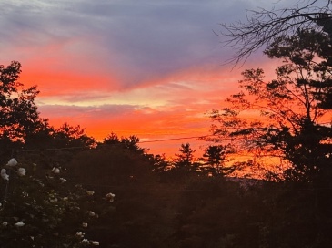 Lot 92-00 White Loaf Rd, Southampton, Massachusetts, ,Land,For Sale,White Loaf Rd,73467583